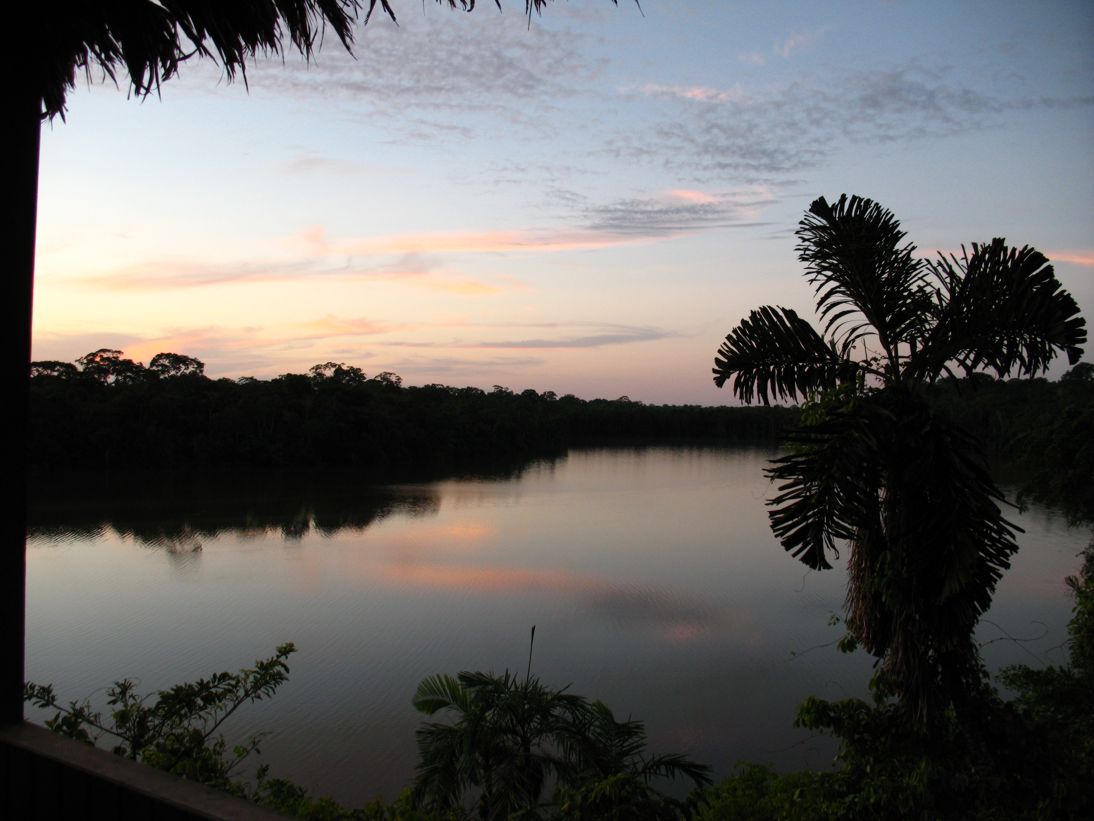 Jungle sunset on the river